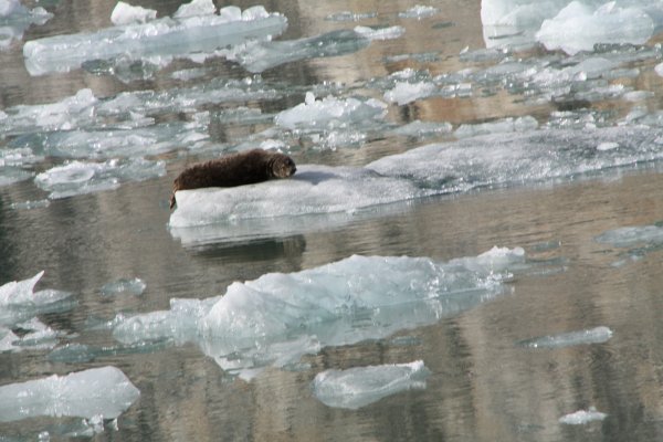 Alaska 175.jpg