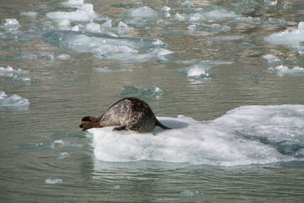 Alaska 179.jpg