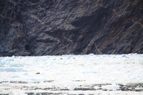 Alaska 202.jpg