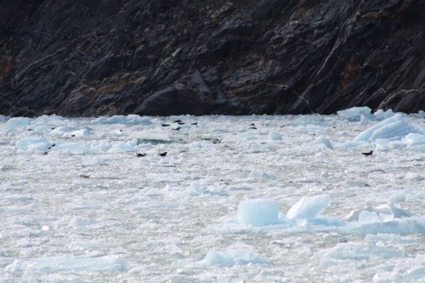 Alaska 209.jpg