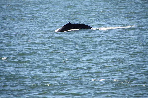 Alaska 317.jpg