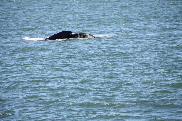 Alaska 319.jpg