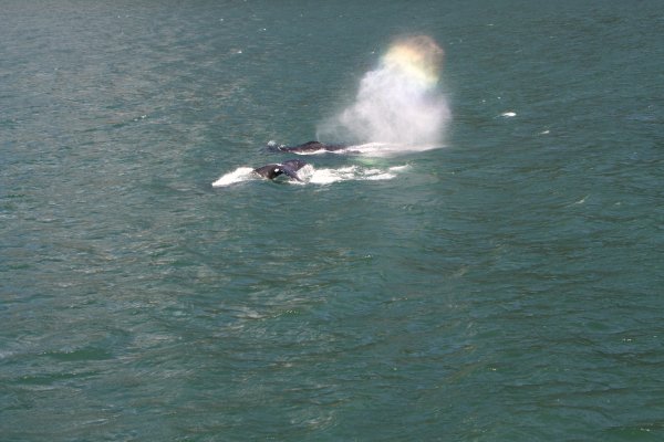 Alaska 337.jpg