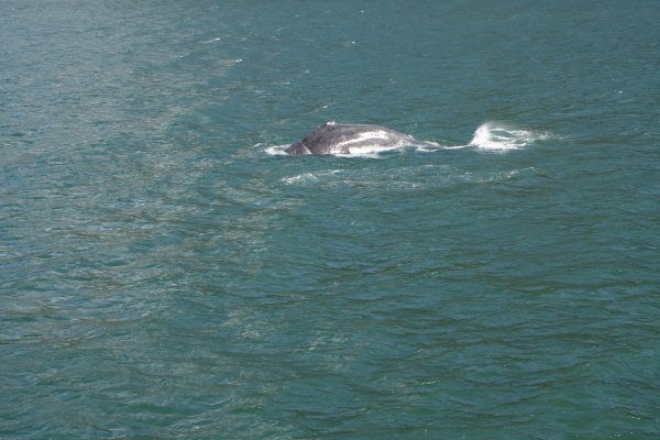Alaska 342.jpg