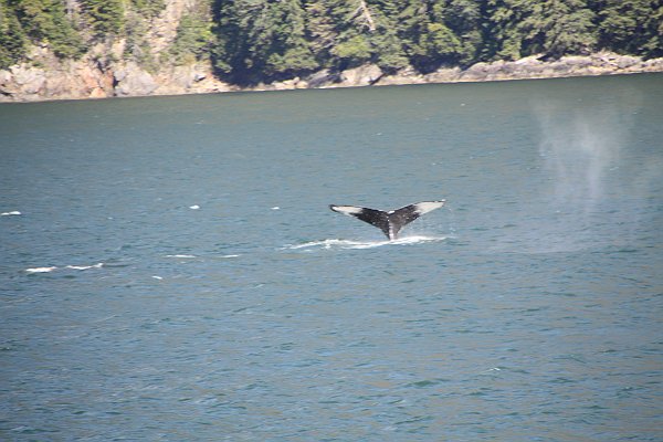 Alaska 352.jpg