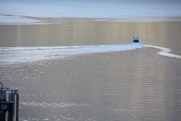 Alaska 362.jpg