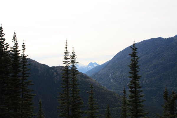 Alaska 603.jpg