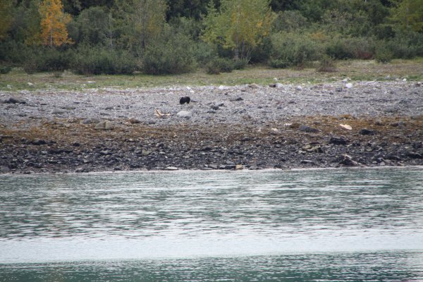 Alaska 731.jpg