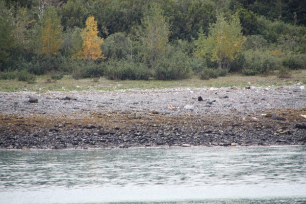 Alaska 732.jpg