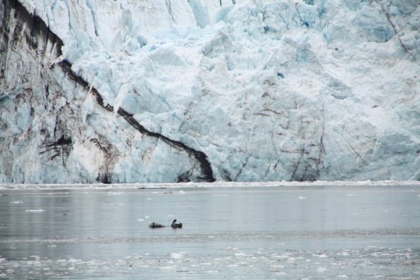 Alaska 770.jpg