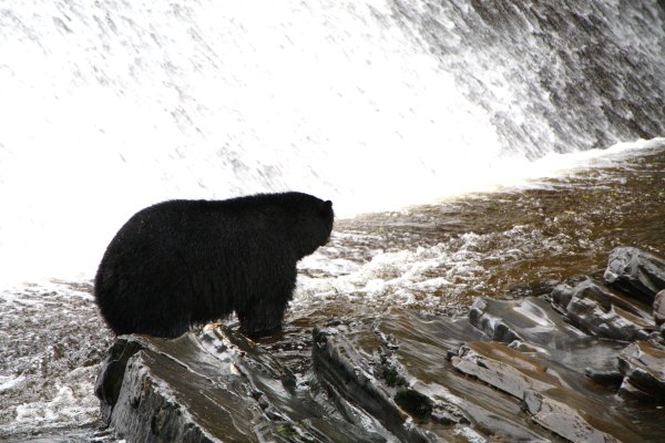 Alaska 935.jpg