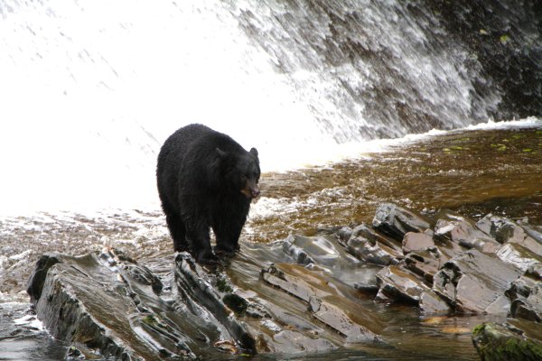 Alaska 938.jpg
