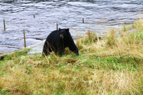 Alaska 961.jpg