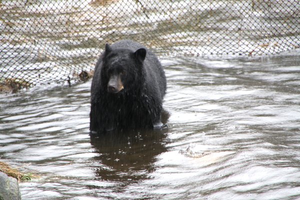 Alaska 970.jpg