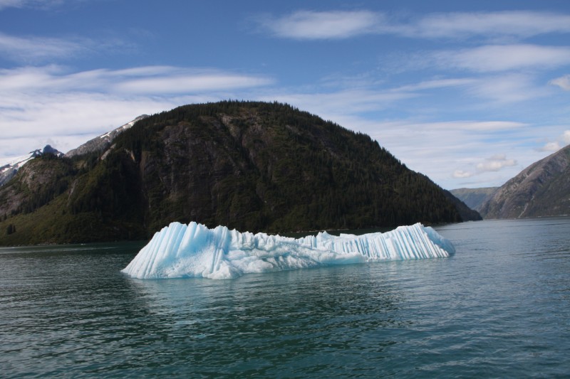 IMG_1448.JPG