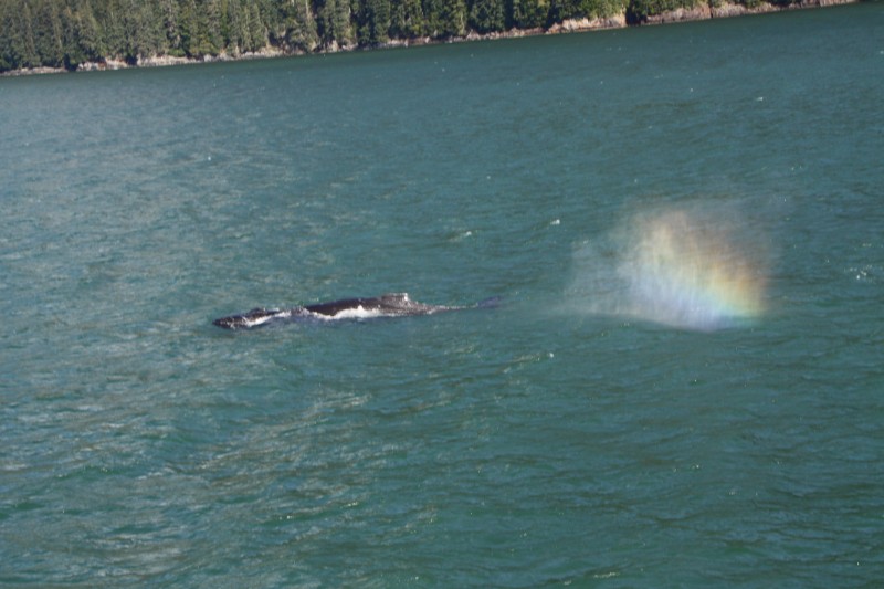 IMG_1508.JPG