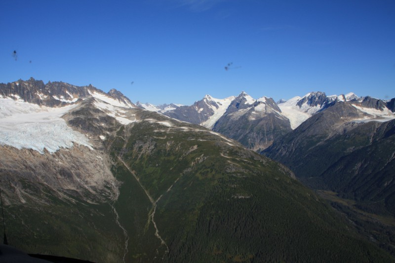 IMG_1559.JPG