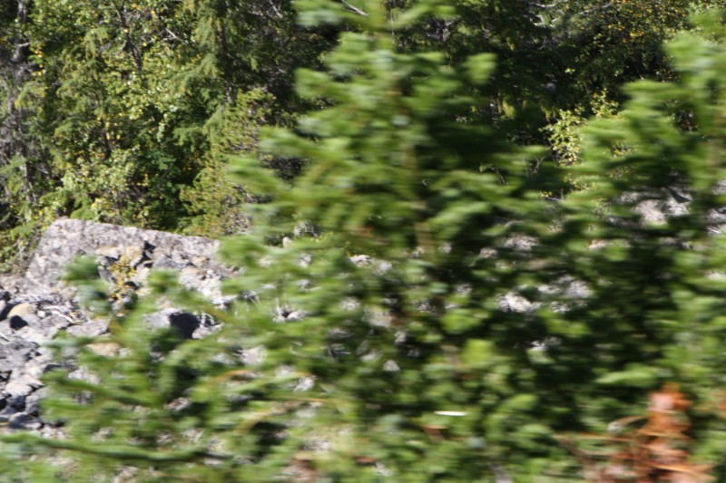 IMG_1714.JPG