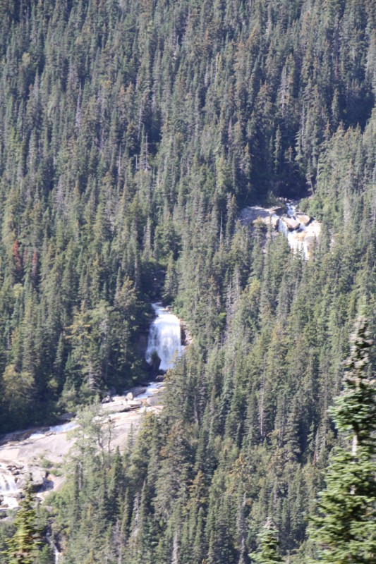 IMG_1725.JPG