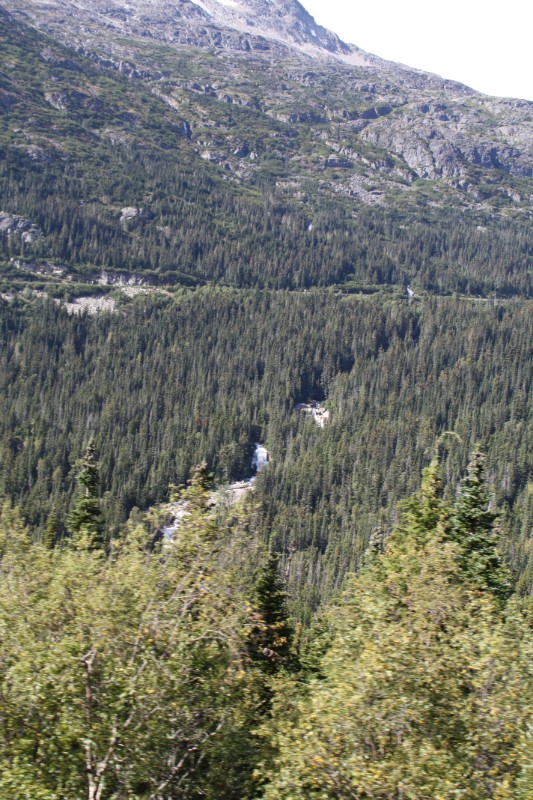 IMG_1726.JPG