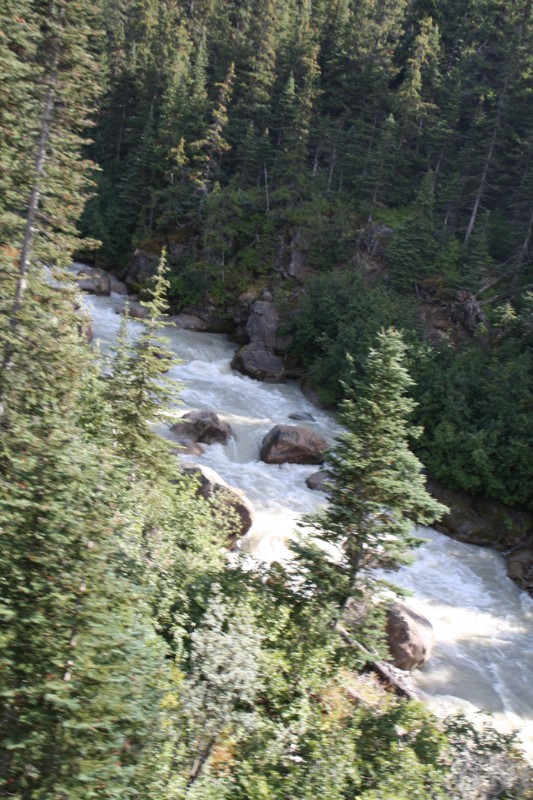 IMG_1736.JPG