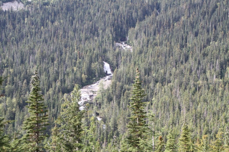 IMG_1841.JPG