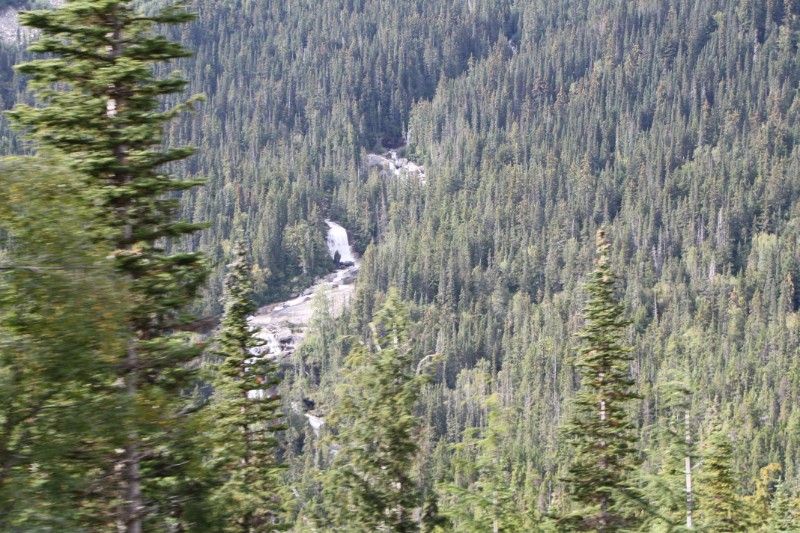 IMG_1842.JPG