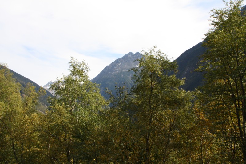 IMG_1844.JPG