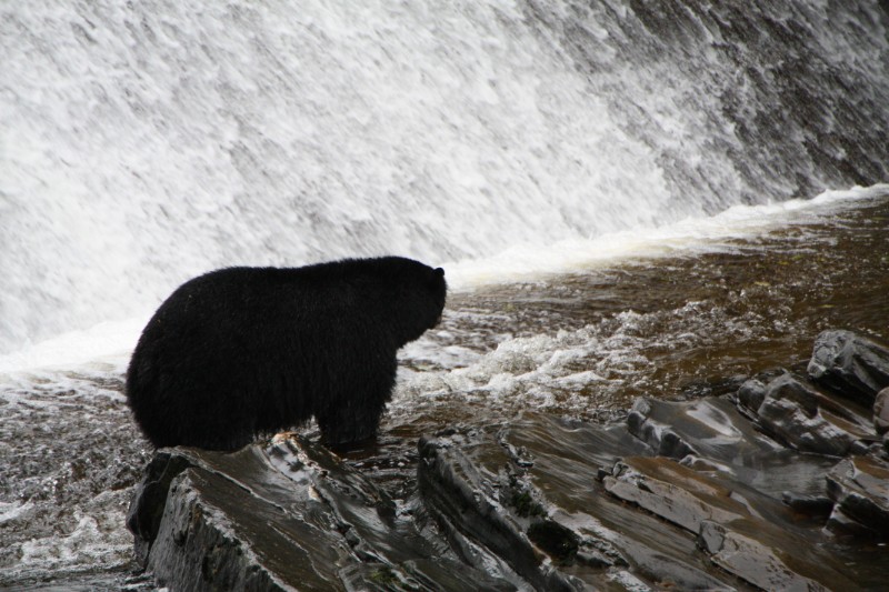 IMG_2108.JPG