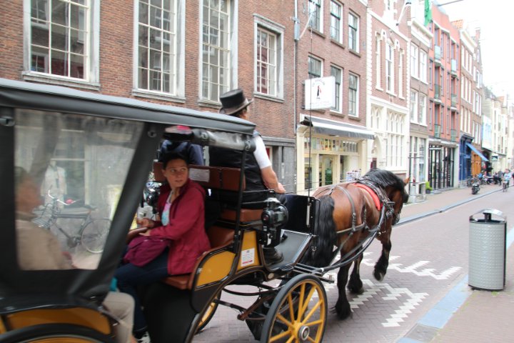 IMG_3147.JPG