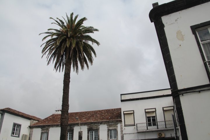 IMG_0023.JPG