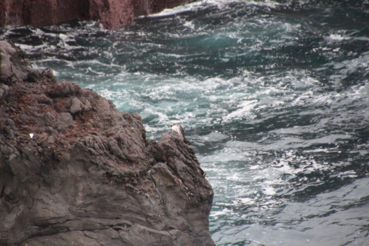 IMG_0112.JPG
