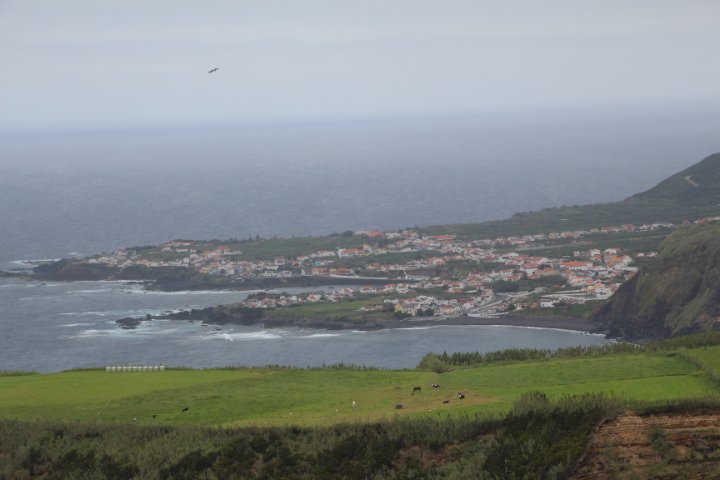 IMG_0124.JPG