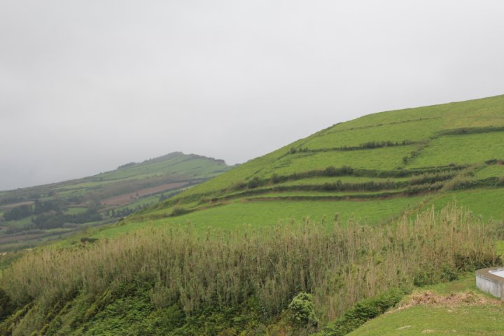 IMG_0131.JPG