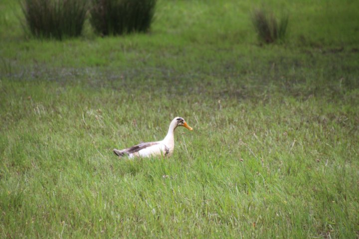 IMG_0153.JPG