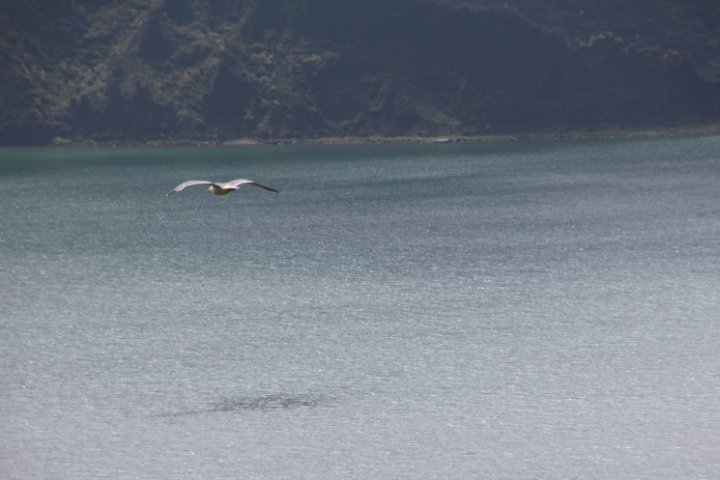 IMG_0295.JPG