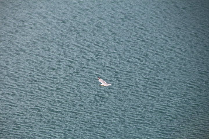 IMG_0296.JPG