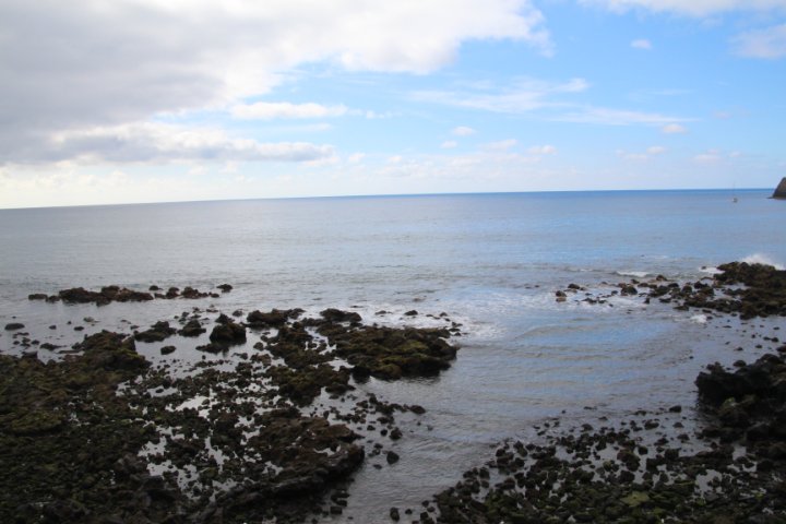 IMG_0378.JPG