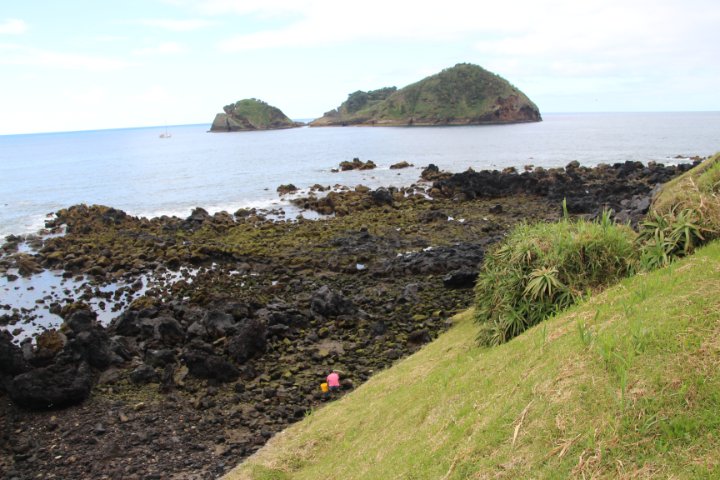 IMG_0387.JPG