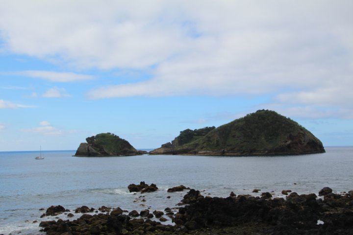 IMG_0391.JPG