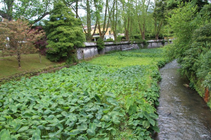 IMG_0488.JPG
