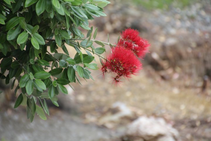 IMG_0634.JPG
