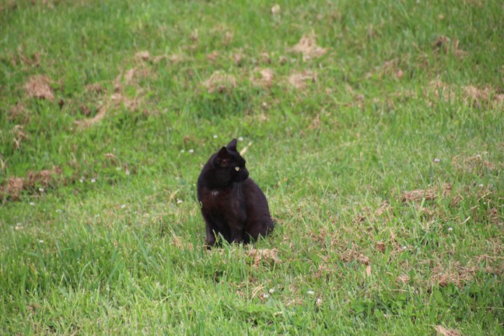 IMG_0677.JPG