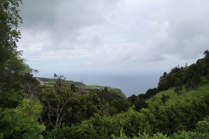 IMG_0819.JPG