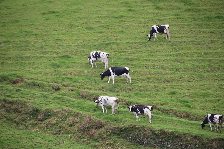 IMG_0854.JPG