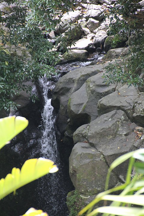 IMG_0909.JPG