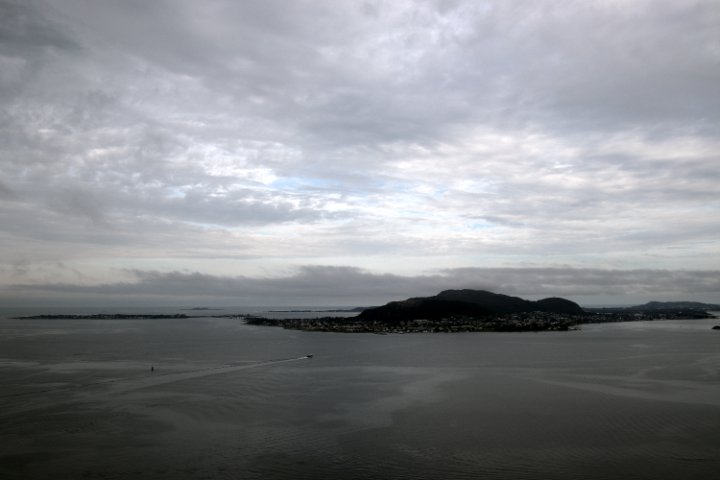 IMG_1484.JPG