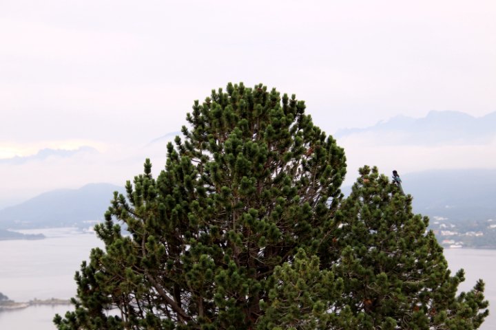 IMG_1504.JPG