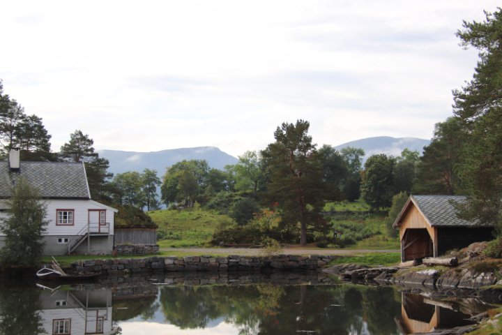 IMG_1560.JPG