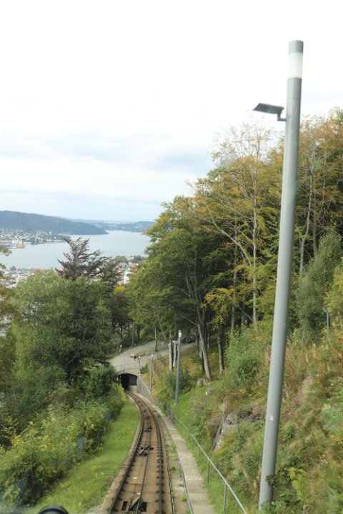 IMG_0890.JPG